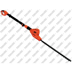 Tagliasiepi a Testa...